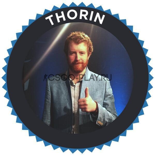 Thorin - киберспортивный аналитик